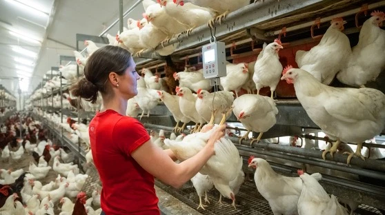 Single-person operation